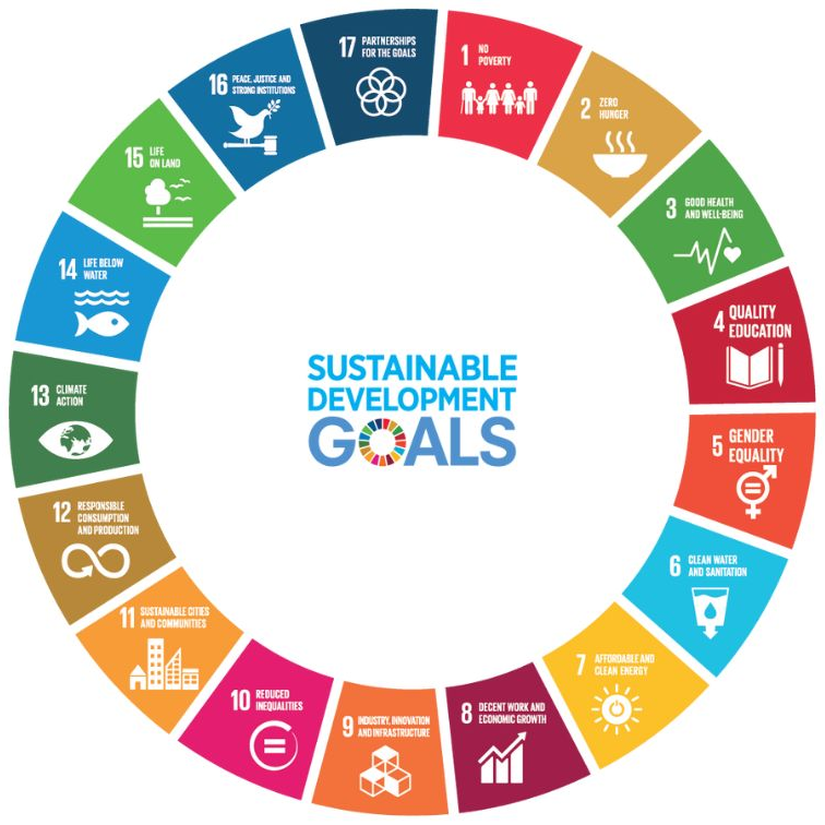 The 17 United Nations Sustainable Development Goals